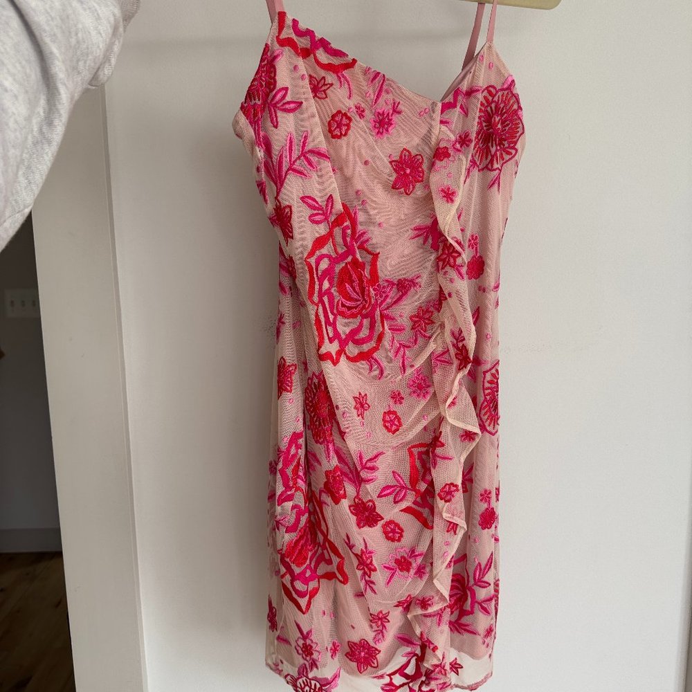 Parker Floral Mesh Embroidered Lace Cherry Mini Dress XS NWT
